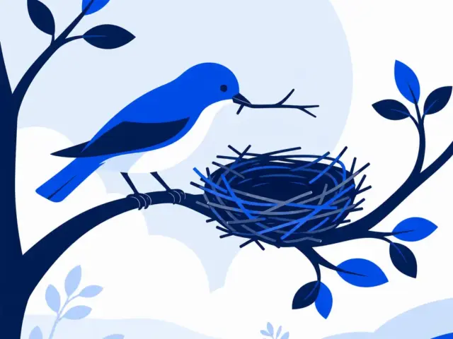 Bird Nesting